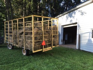 Hay wagon outside the barn.