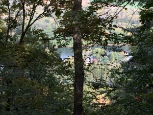 A view of Song Lake from half way up the mountain.